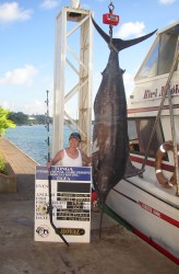 Yellowfin Ahi